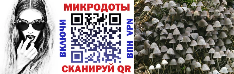 Псилоцибиновые грибы Cubensis  Купить закладки  Кунгур 